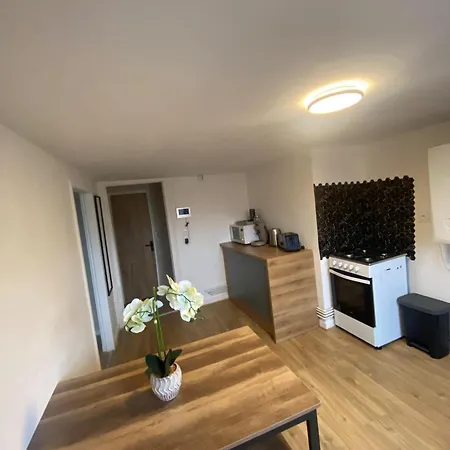 Appartement Cosy Plein Centre Dunkerque Dunkirk