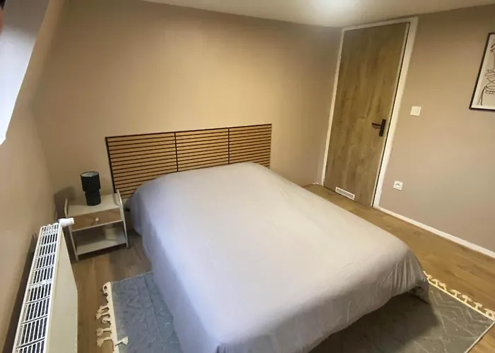 Appartement Cosy Plein Centre Dunkerque Dunkirk