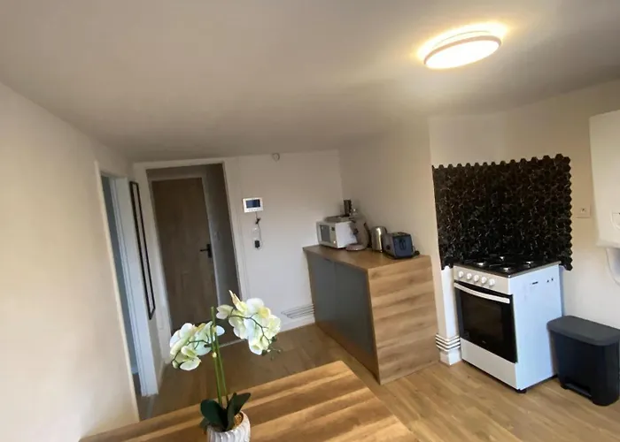 Appartement Cosy Plein Centre Dunkerque Dunkirk