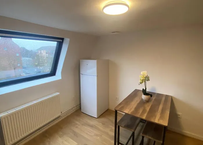 Cosy Plein Centre Dunkerque * Dunkirk